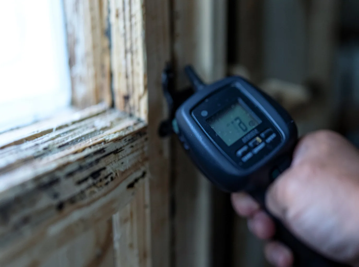 Ceiling Water Damage Repair in Promise City, IA